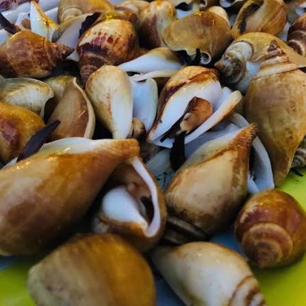 Kuliner Khas Bintan: Gonggong, Otak-otak, dan Lainnya