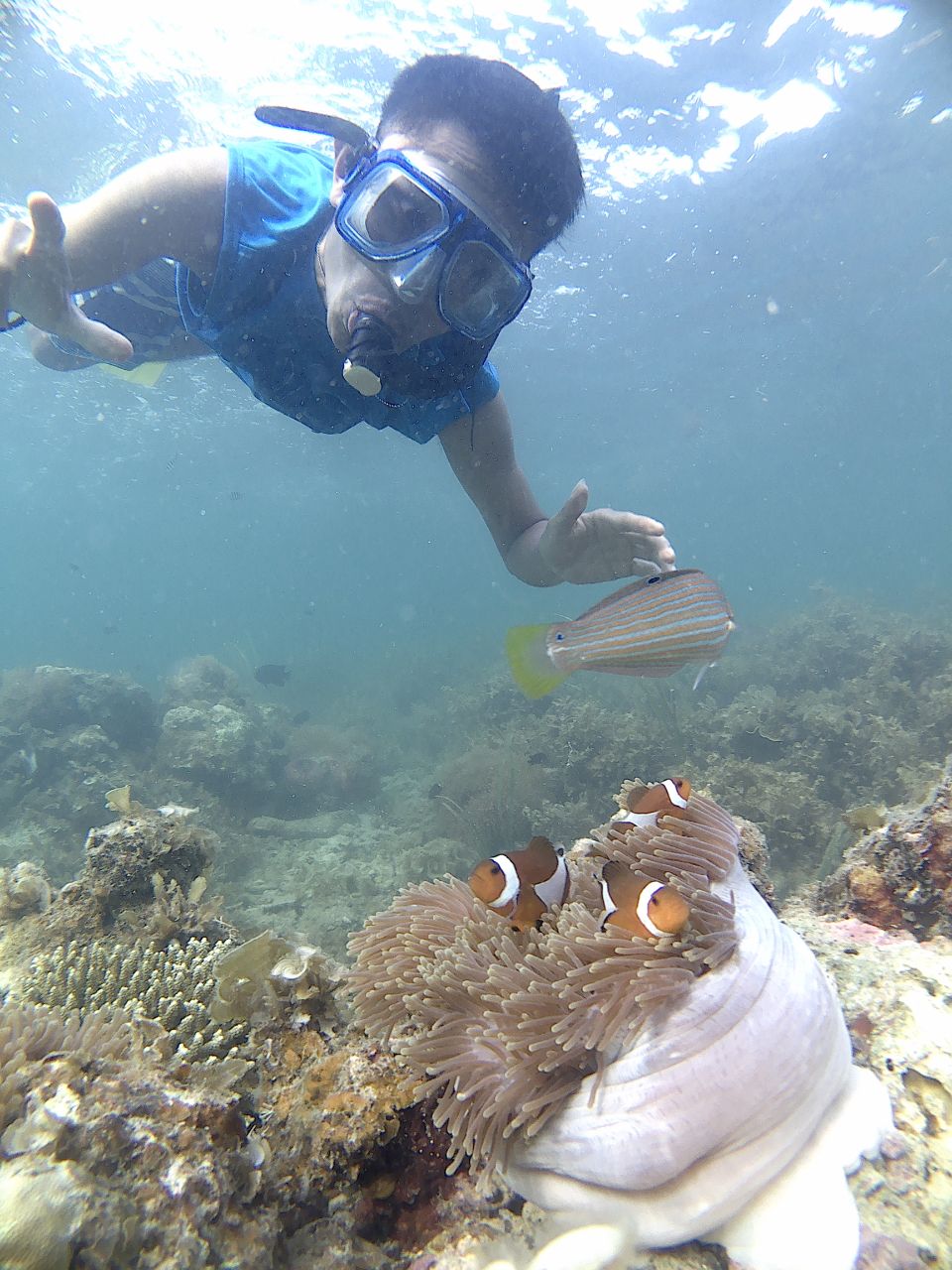 Snorkeling - Paket B